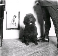 Bernhard Östermans hund år 1927