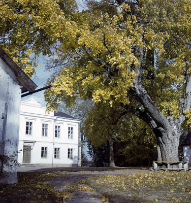 Täckhammar år 1957