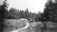 Skogsväg vid Björkliden