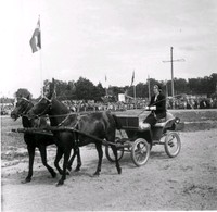 En kvinna åker häst och vagn.