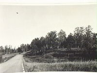 Åsen och gravfält, Vibyholm