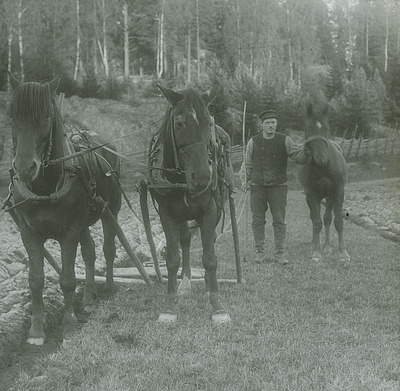 Jordbrukare med hästar i Nykvarn, Taxinge socken