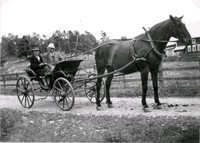 Häst med vagn