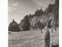 Berg vid Tavesta år 1963