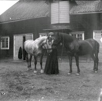 Kvinna med hästar på stallbacken vid Ökna säteri i Floda socken