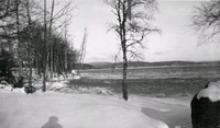 Vinterlandskap vid sjön, Björkliden i Hindås