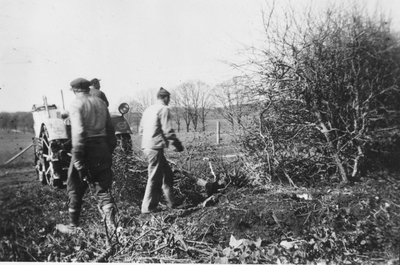 Hagtornshäcken tas bort på Hagbyberga, 1940-tal