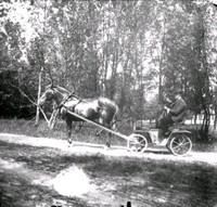 Carl Åkerhielm kör en häst förspänd en trilla, 1890-tal
