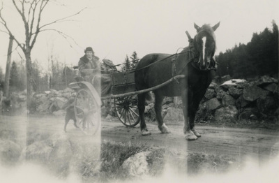 Häst och vagn på landsväg