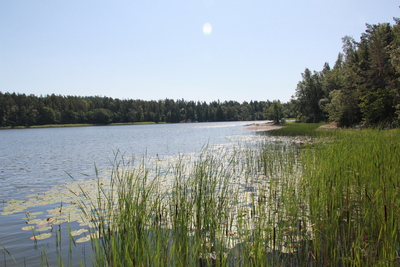 Rundbosjön vid Nynäs