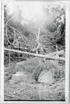 Skogsarbete på Björksund ca 1930