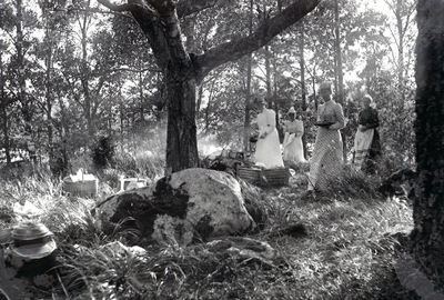 Picknick på Ökna, ca 1890-tal