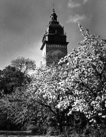 Strängnäs domkyrka ca 1957