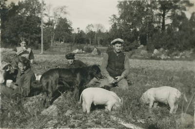 Picknick vid åkern, Björktorp 1930