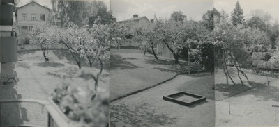 Panorama över trädgård, Strängnäs