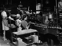 Glödlampsfabriken på 1930-talet