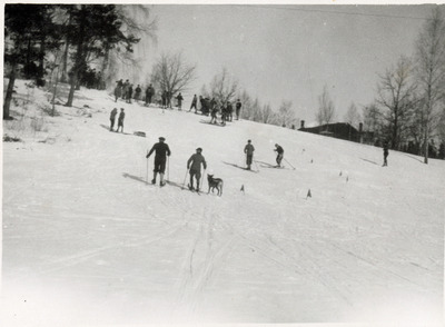 Elever åker slalom på skidbacken vid Solbacka Läroverk, 1931