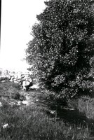 Landskapsbild med stenbro