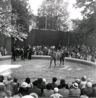 Midsommarfesten 1948