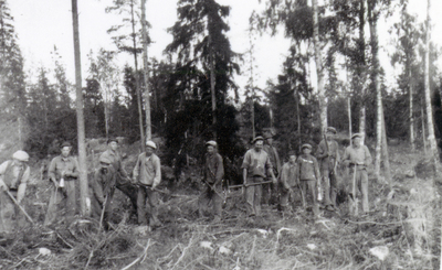 Skogsarbete, ca 1930-tal