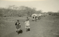 Röda Korsets karavan och beväpnade män, Bale, Etiopien 1935-1936