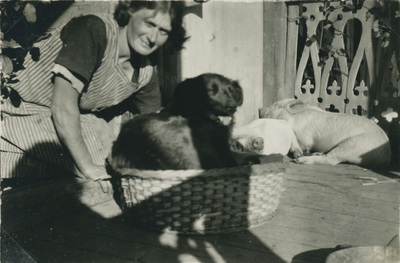Lisa Hall med grisar och hund, 1930