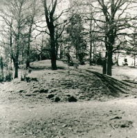 Gravfält vid Vibyholms slott