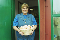 Britt Haglund med ägg från Valla 1998