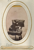 Hunden Beckman, 1880-tal