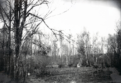 Kohagen på Ökna ca 1900