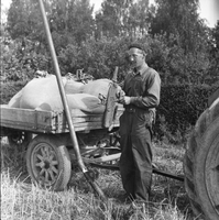Lastning med traktor, 1950-tal
