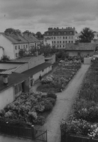 Trädgård på innergård i Nyköping