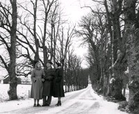 Två kvinnor och en man på en snöig allé