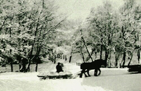 Häst med släde vid Åkers styckebruk, Strängnäs.