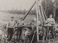 Fabriksarbetare från Högsjö bruk sysselsatta med stubbrytning åt Bränslekommissionen år 1917
