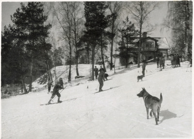 Elever åker slalom på skidbacken vid elevhemmet Nain, Solbacka Läroverk, 1931