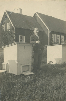 Ture Eklöf vid bikuporna, 1940-tal