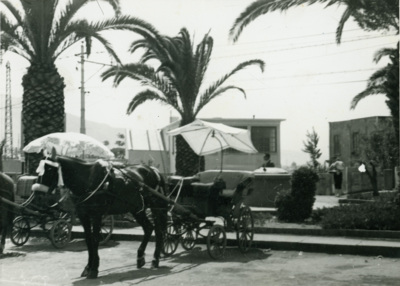 Häst och vagn på Capri, 1955
