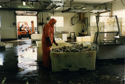 Fiskeindustri i Norge, 1987