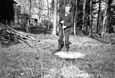 Bertil Nyman krattar ut aska vid vårstädningen vid stugan på Fredön år 1988