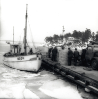 Strömmingsfiskare vid Hummelvik 1957