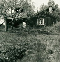 Tomastorp i Ripsa år 1953