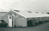 Växthus på Sundby sjukhusområde i Strängnäs 1986