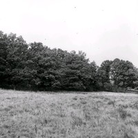 Gravfält, Vibyholm, 1968