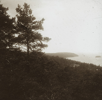 Utsikt från Oskarshäll i Kolmården