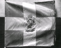 Vingåkers skytteförenings flagga.