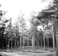 Östra Vrå stenålderns boplats.