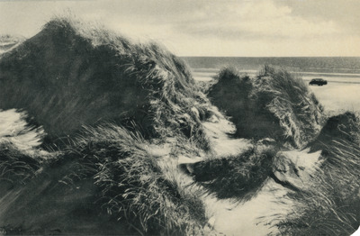 Sandbank på Fanö
