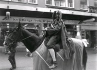 Hertig Karls marknad 1993