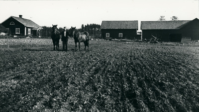 Ernst med två hästar vid Mariedal nära Sidhem. Ernst var född 1903.